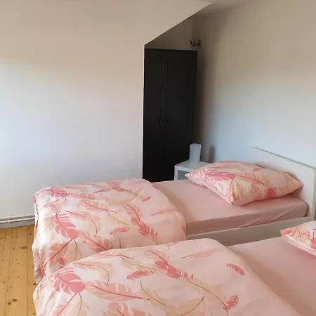 Apartment Ferienwohnung Willi B. Eisenach